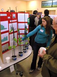 science fair