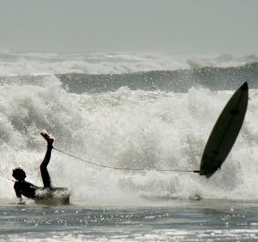 surfer wipes out