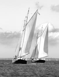 sailboats