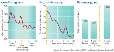 graphs
