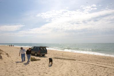 beach