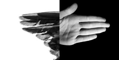 handfeathers