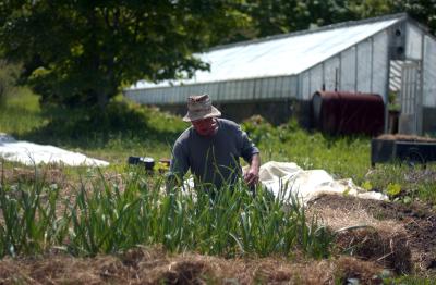 farm