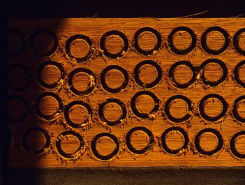 circles