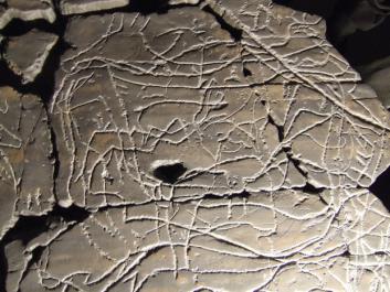 frieze