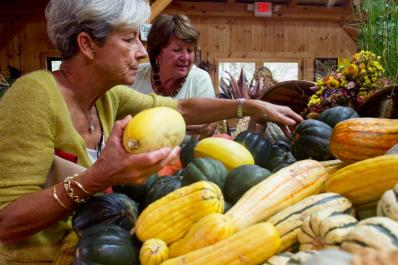 squash