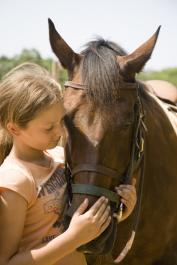 horse