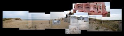 collage