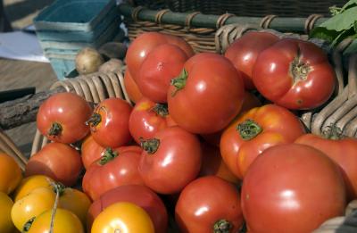 tomatoes