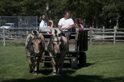 carriage