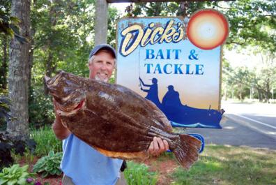 fluke