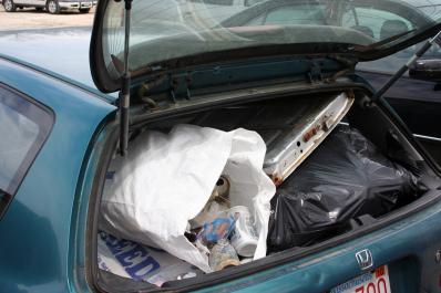 trunk
