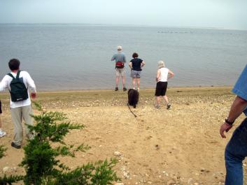 beach