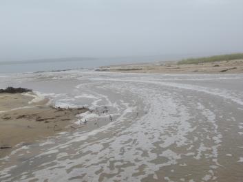 barrier beach breach