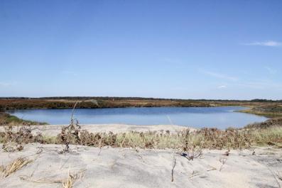 Pond Long Point Beach