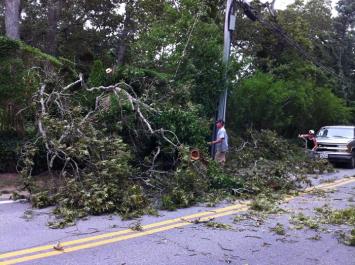 Chris Haggerty tree limb