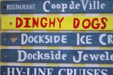 dinghy dogs sign dockside