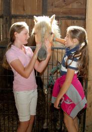 Ava Callie Stearns Grunwald horse girls barn
