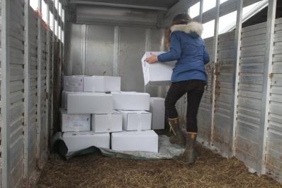 boxes