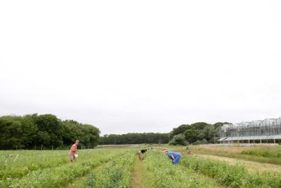 Farm
