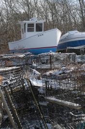 boats