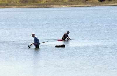 clamming,