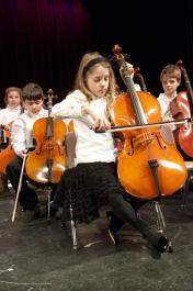 cellos
