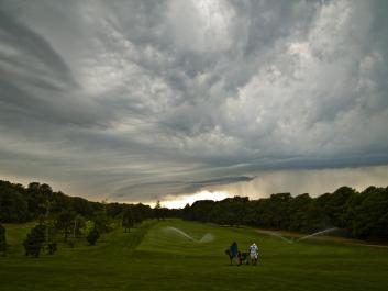 Mink Meadows