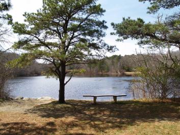 pond Duartes tree bench