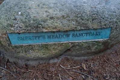 Sheriffs Meadow