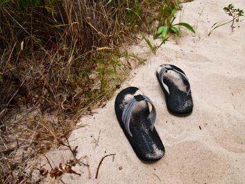 flip flops