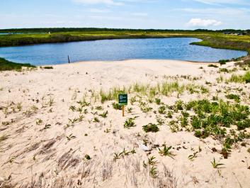 long point