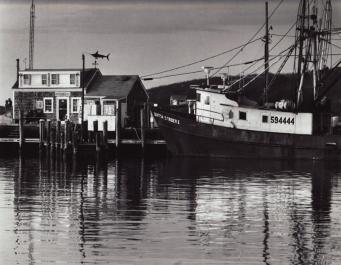 harbor