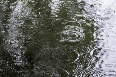 raindrops