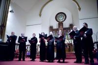 octet novum