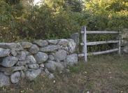fences