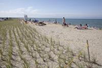 dune restoration: