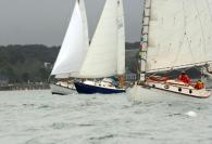Moffet Race