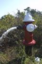 hydrant