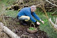 Feiner