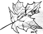 leaf