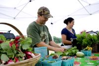 vegetables