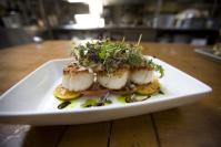 scallops