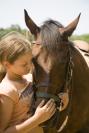 horse