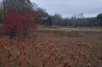 Cranberry Acres