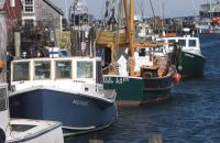 boats