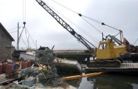 crane