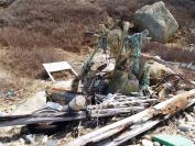 flotsam