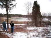 wetlands