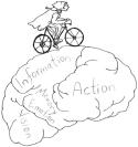 bike brain